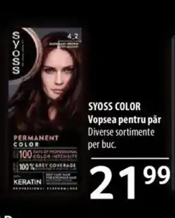 Selgros SYOSS Color Vopsea pentru păr Ofertă