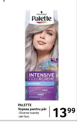PALETTE Vopsea pentru păr