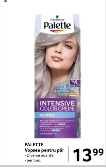 Selgros PALETTE Vopsea pentru păr Ofertă