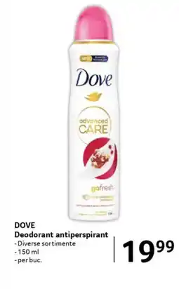 Selgros DOVE Deodorant antiperspirant Ofertă