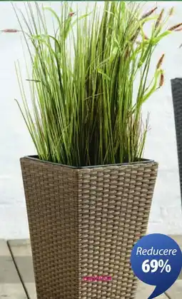 JYSK Blommor ghivece Ofertă