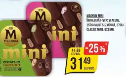 Mega Image MAGNUM Mini Ofertă