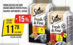 Sheba delices du jour hrana umedă pentru pisici