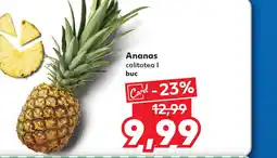 Kaufland Ananas Ofertă