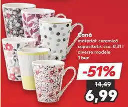 Kaufland Cană Ofertă