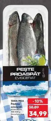 Kaufland Păstrăv eviscerat Ofertă