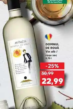 Kaufland DOMNUL DE ROUĂ Ofertă