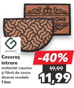Covoraș intrare