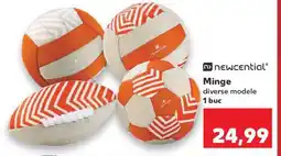 Kaufland Minge Ofertă