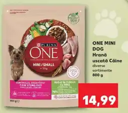 Kaufland ONE Mini Dog Ofertă