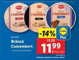 Lidl Brânză Camembert Ofertă