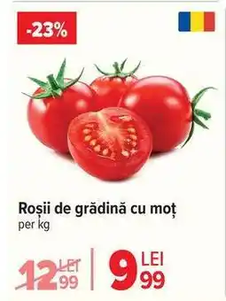 Roșii de grădină, cu moț