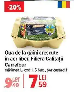 Ouă de la găini crescute în aer liber Filiera Calității Carrefour