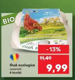 Kaufland Ouă ecologice Ofertă