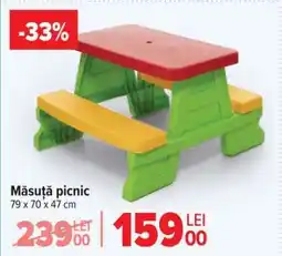 Carrefour Măsuță picnic Ofertă
