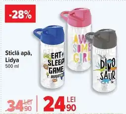Carrefour Sticlă apă, Lidya Ofertă