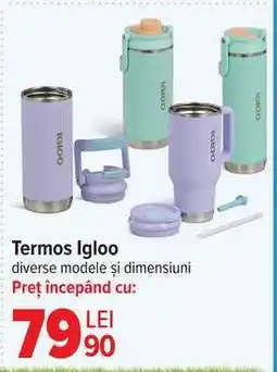 Carrefour Termos Igloo Ofertă