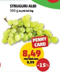 Penny Struguri albi Ofertă