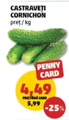 Castraveţi cornichon