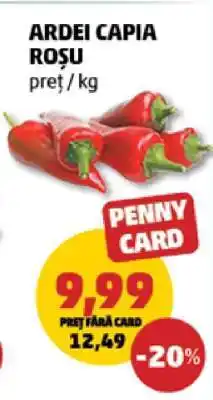 Penny ARDEI CAPIA ROȘU Ofertă