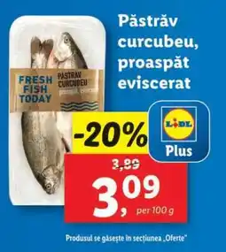 Lidl Păstrăv curcubeu, proaspăt eviscerat Ofertă