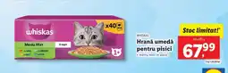 Lidl WHISKAS HRANĂ UMEDĂ PENTRU PISICI Ofertă