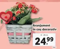 Lidl Aranjament în coș decorativ Ofertă