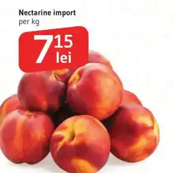 Supeco Nectarine import Ofertă