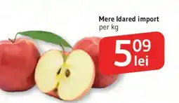 Supeco Mere Idared import Ofertă