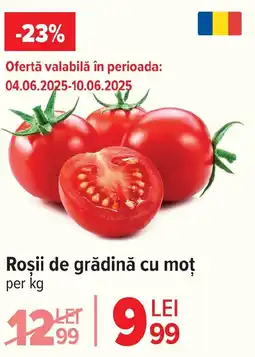 Roşii de grădină cu moţ