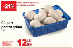 Ciuperci pentru grătar