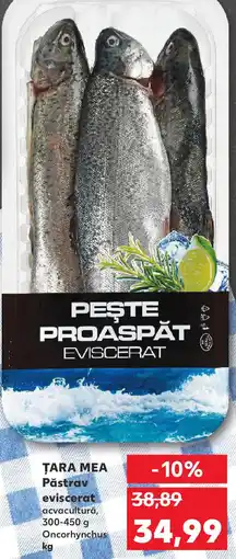 TARA MEA Păstrav eviscerat