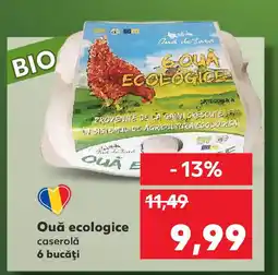 Kaufland Ouă ecologice caserolǎ Ofertă