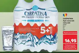 CARPATINA Apă minerală naturală