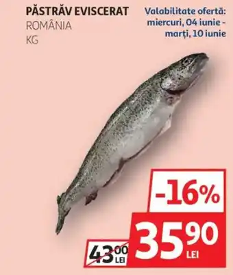 Auchan Păstrăv eviscerat Ofertă