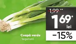 Ceapă verde /legatură