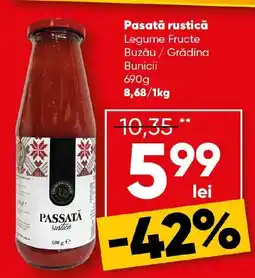 PROFI Pasată rustică Legume Fructe Ofertă
