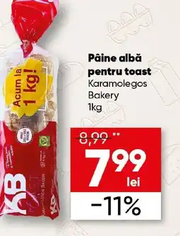PROFI Pâine albă pentru toast Karamolegos Bakery Ofertă