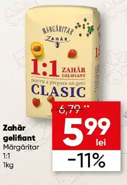 PROFI Zahăr gelifiant Mărgăritar Ofertă