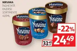 Auchan NIRVANA Înghețată Ofertă