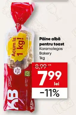 PROFI Pâine albă pentru toast Ofertă