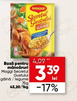 MAGGI Bază pentru mâncăruri