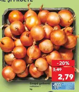 Kaufland Ceapă galbenă Ofertă