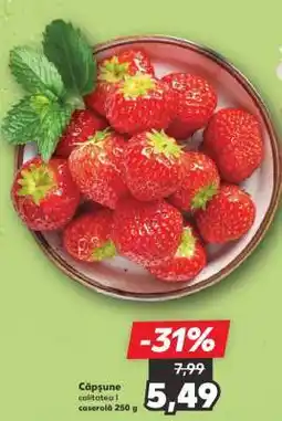 Kaufland Căpşune Ofertă