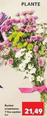 Kaufland Buchet crizanteme 7 fire santini Ofertă