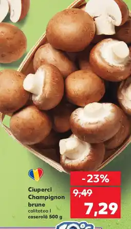 Kaufland Ciuperci Champignon brune Ofertă
