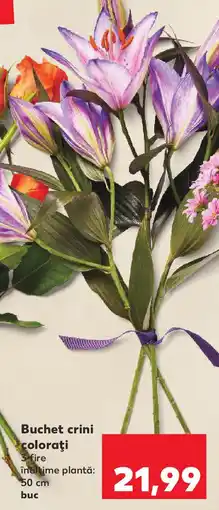 Kaufland Buchet crini coloraţi Ofertă