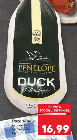 Kaufland Raţă tânără eviscerată fără organe Ofertă