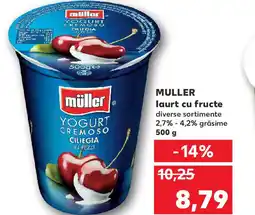 Kaufland MULLER laurt cu fructe Ofertă