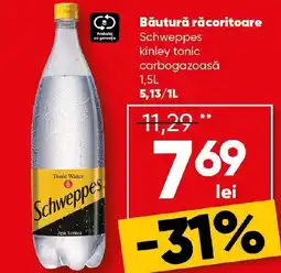 PROFI Băutură răcoritoare Schweppes Ofertă